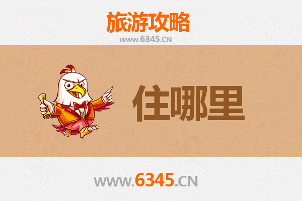 鹤岗萝北旅游民宿全攻略：探索北国风情与性价比之选